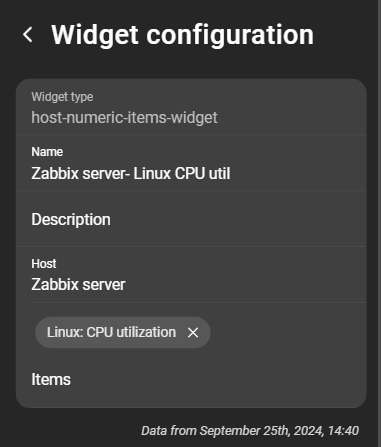 hostNumericItemWidget